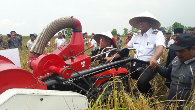 Kepemimpinan Suyatno Dinilai Berhasil Tingkatkan Sektor Pertanian Rohil Kepemimpinan Suyatno Dinilai Berhasil Tingkatkan Sektor Pertanian Rohil