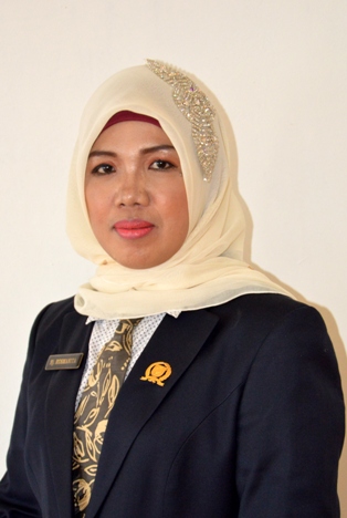 Dewan Harapkan Tenaga Kesehatan Rohil Bersinergi Waspada Kabut Asap