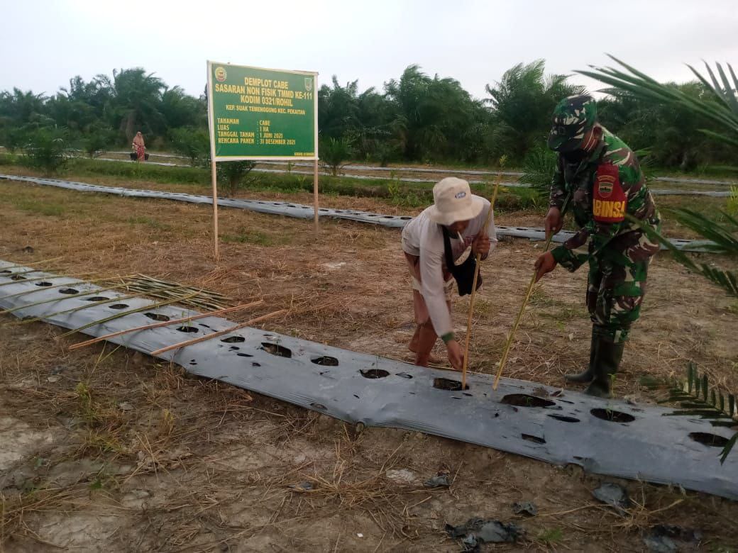 Demplot Cabai, Satgas TMMD anjurkan Petani gunakan pupuk kompos