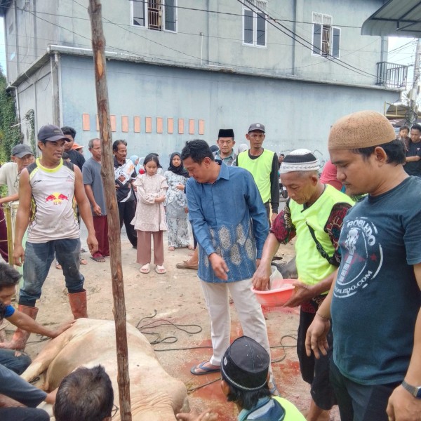 Musholla Al-Falah Gelar Penyembelihan 4 Ekor Sapi Qurban Idul Adha 1447 H/2026 M