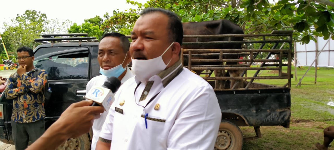 Tahun ini DLH Rohil Kurban 8 Ekor Lembu dan Kambing