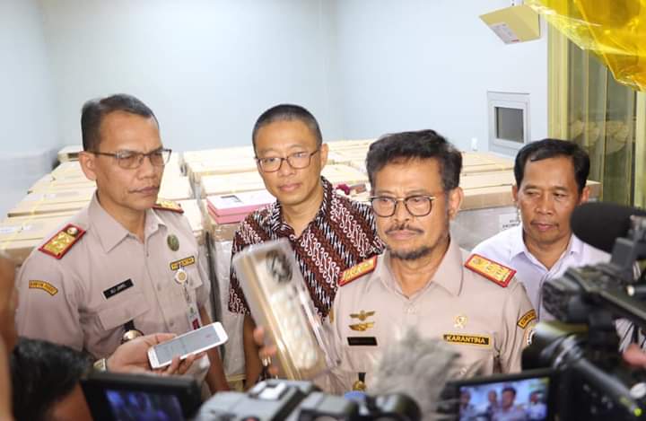 Ekspor Sarang Burung Walet Melesat di 3 Negara