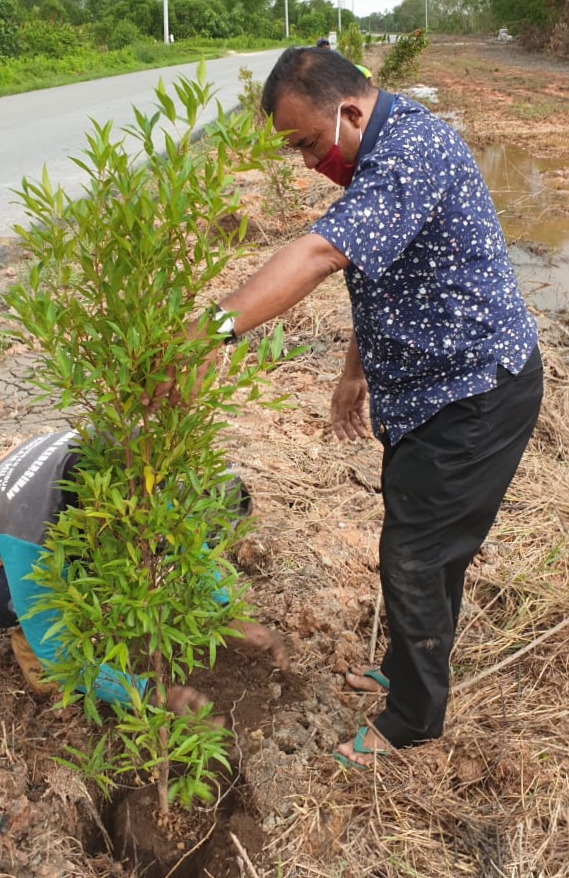 Kadis Lingkungan Hidup Rohil Tanam Pelbagai Jenis Tanaman