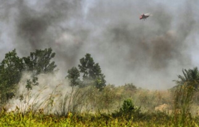 Kabut Asap Tebal, Jarak Pandang di Dumai Hanya 5 Kilometer