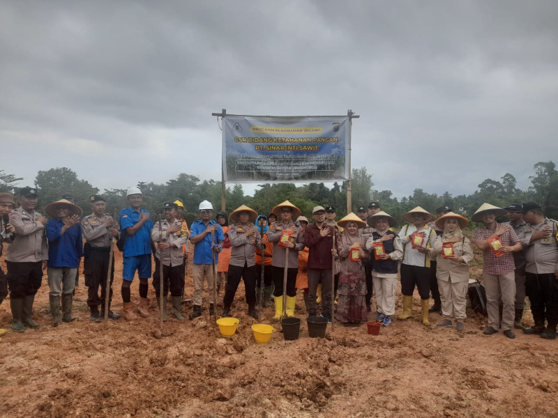 Sinergi, Polsek Mandau Bersama PT. SIS Dukung Asta Cita Presiden Prabowo Penanaman Jagung