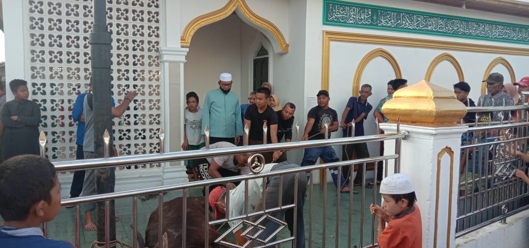 Bupati Rohil Suyatno Saksikan Penyembelihan Hewan Kurban di Mesjid Al-Khariyiah