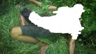 Mayat Warga Bagansiapiapi di Temukan Dekat Parit