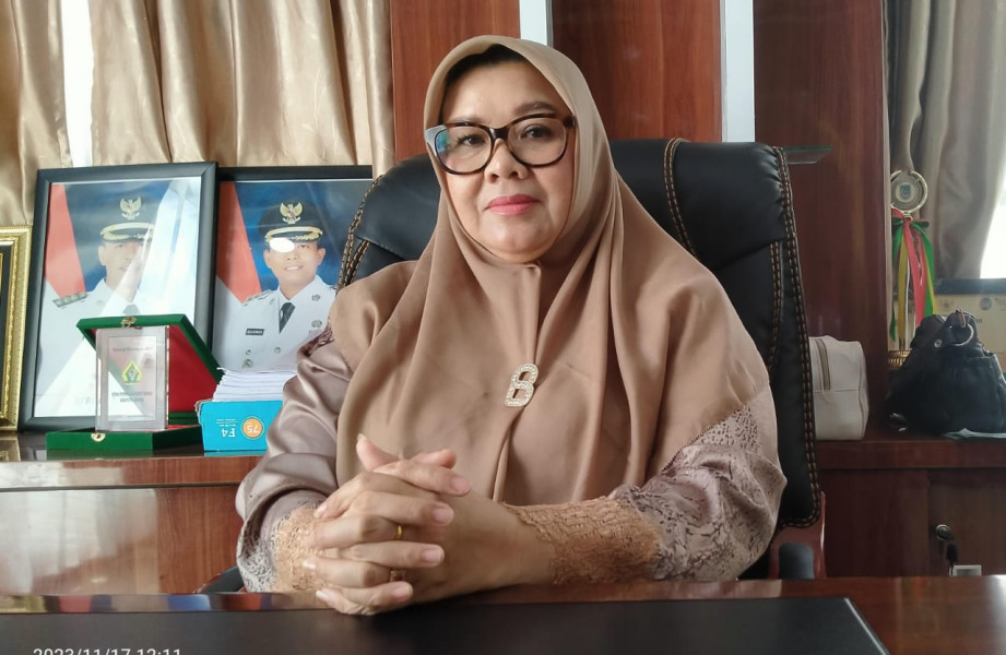 Kadis Kesehatan Rohil Sebut Penilaian Reakreditasi dan Akreditasi 20 Puskesmas Sudah Terlaksana