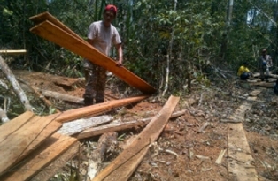 Hancurnya Kawasan Hutan Lindung Zamrud Karena Kelalaian Pemprov Riau