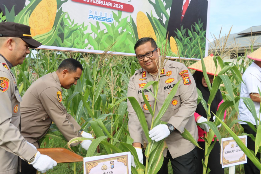 Kapolres Dumai Hadir Dalam Acara Panen Raya Jagung Serentak di Bukit Kapur