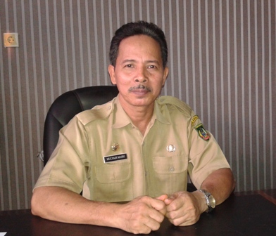 Dinas PMD Rohil Himbau Kepenghuluan Segera Selesaikan Profil Desa