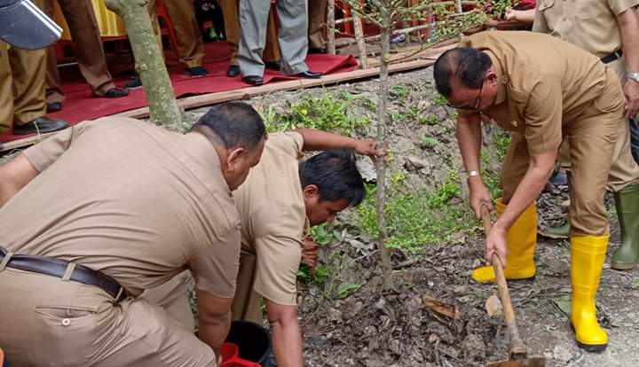 Kadis LH Rohil,Suwandi: Hutan Kota Bagansiapiapi Ini Memiliki Ukuran Luas 6 Hektar