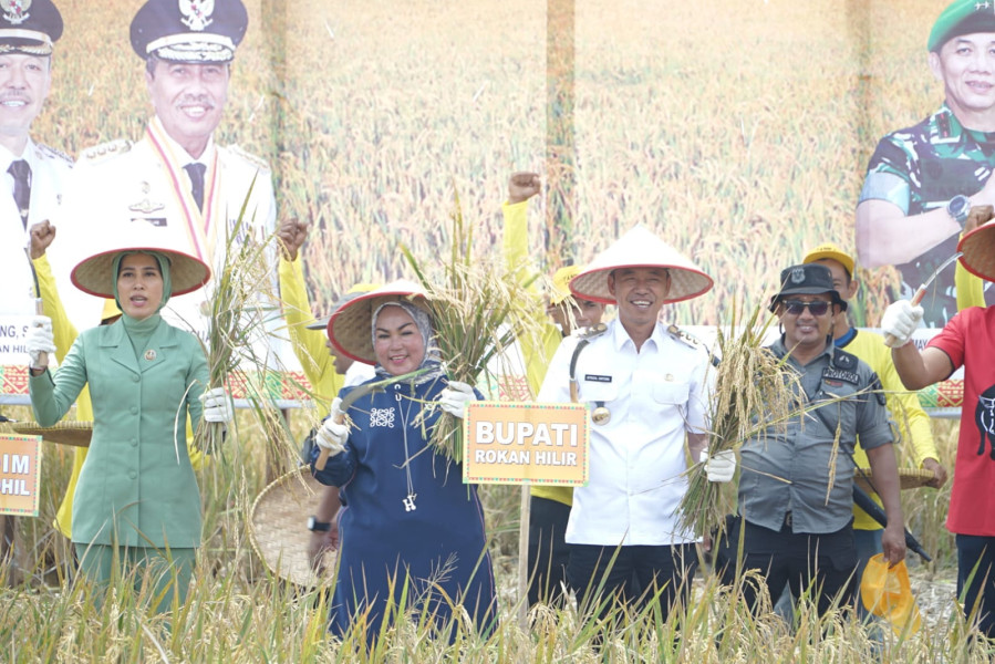 Bupati Afrizal Sintong Hadiri Panen Raya Padi Binaan Kodim 0321 Rohil