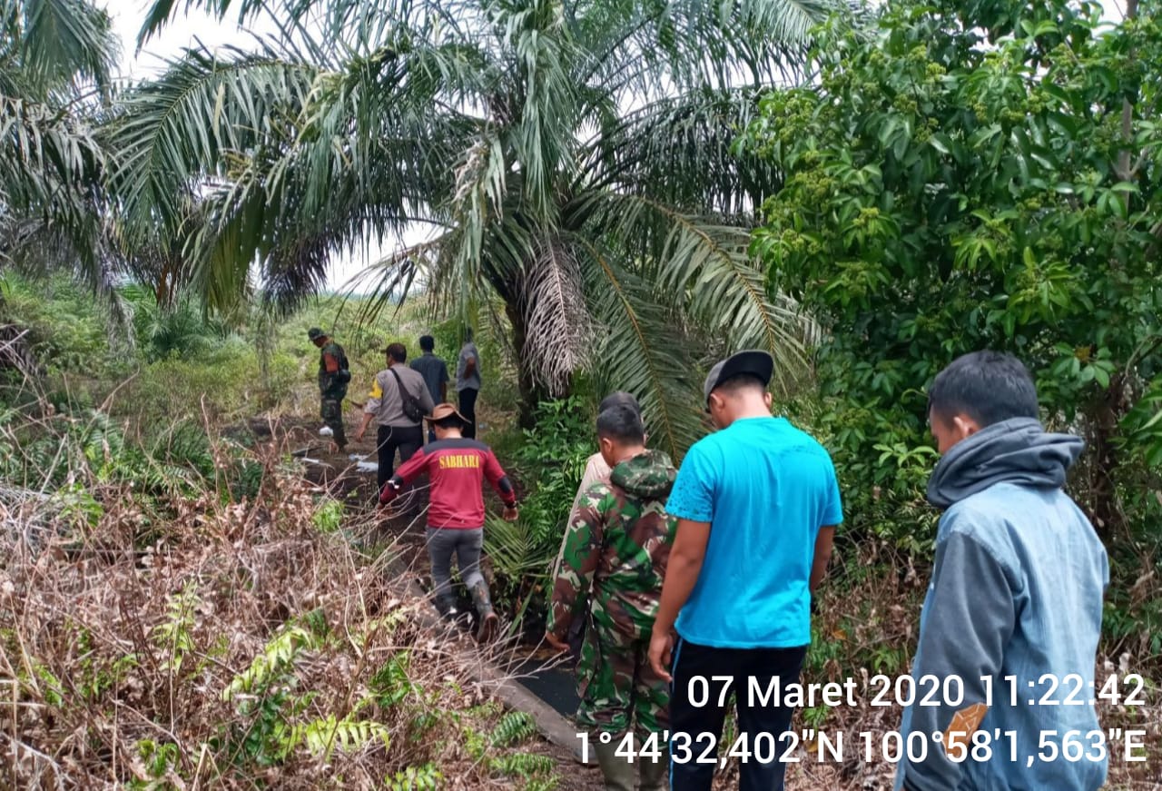 TNI Polri Dan Masyarakat Laksanakan Patroli Bersama