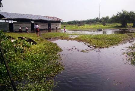 Sudah Reot, Sekolah di Sungai Daun Rohil Juga Terendam Banjir
