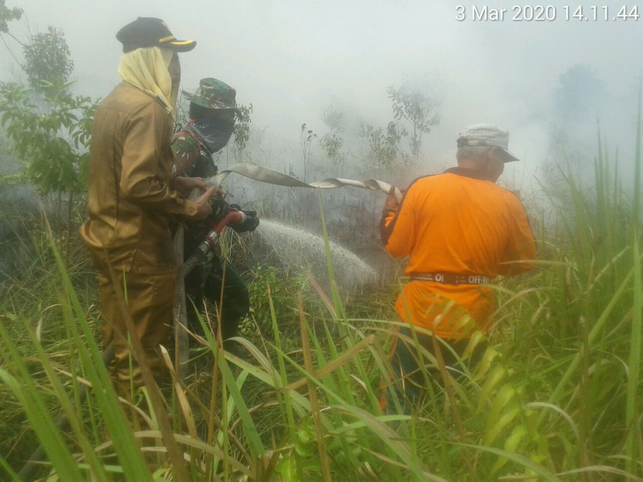 Kebakaran Hutan dan Lahan Terjadi, Upika Kerja Keras Melaksanakan Pemadaman
