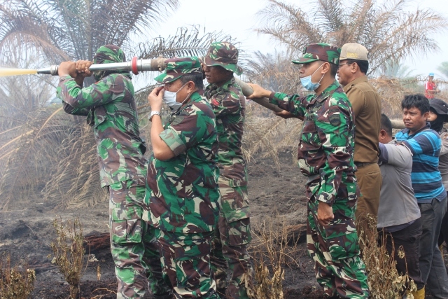Danrem 031/Wirabima Tinjau Lahan Terbakar Sei Segajah Makmur, Rohil