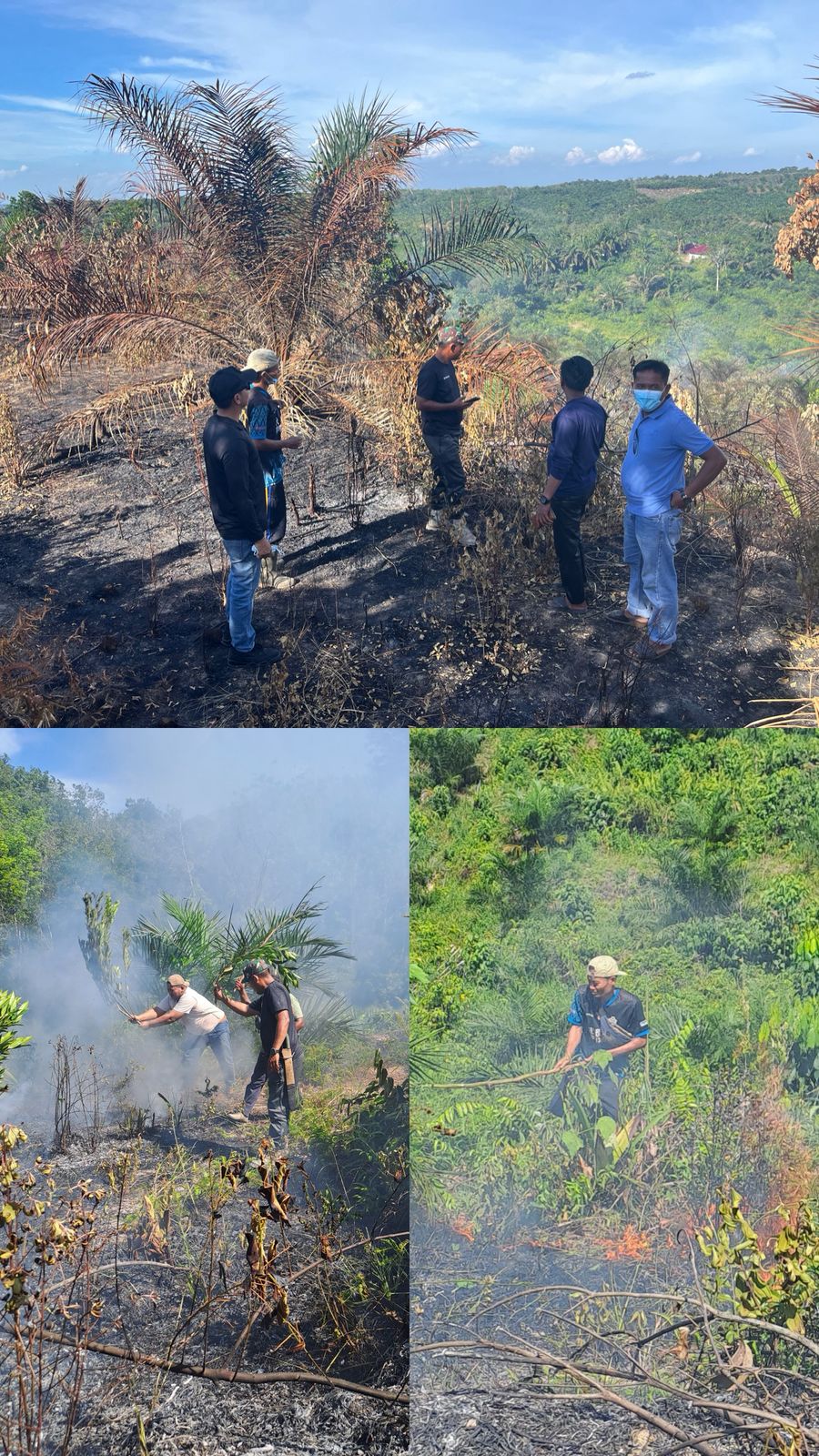 Pemdes Ranah Singkuang Gercep Padamkan Api, Camat Kampar Berikan Apresiasi.