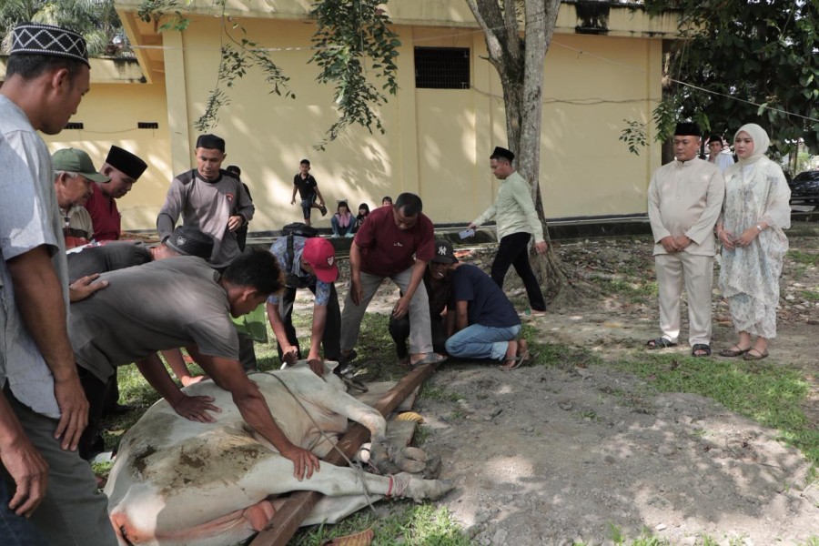 Polres Rokan Hilir Gelar Penyembelihan Hewan Qurban Sambut Idul Adha 1447 H