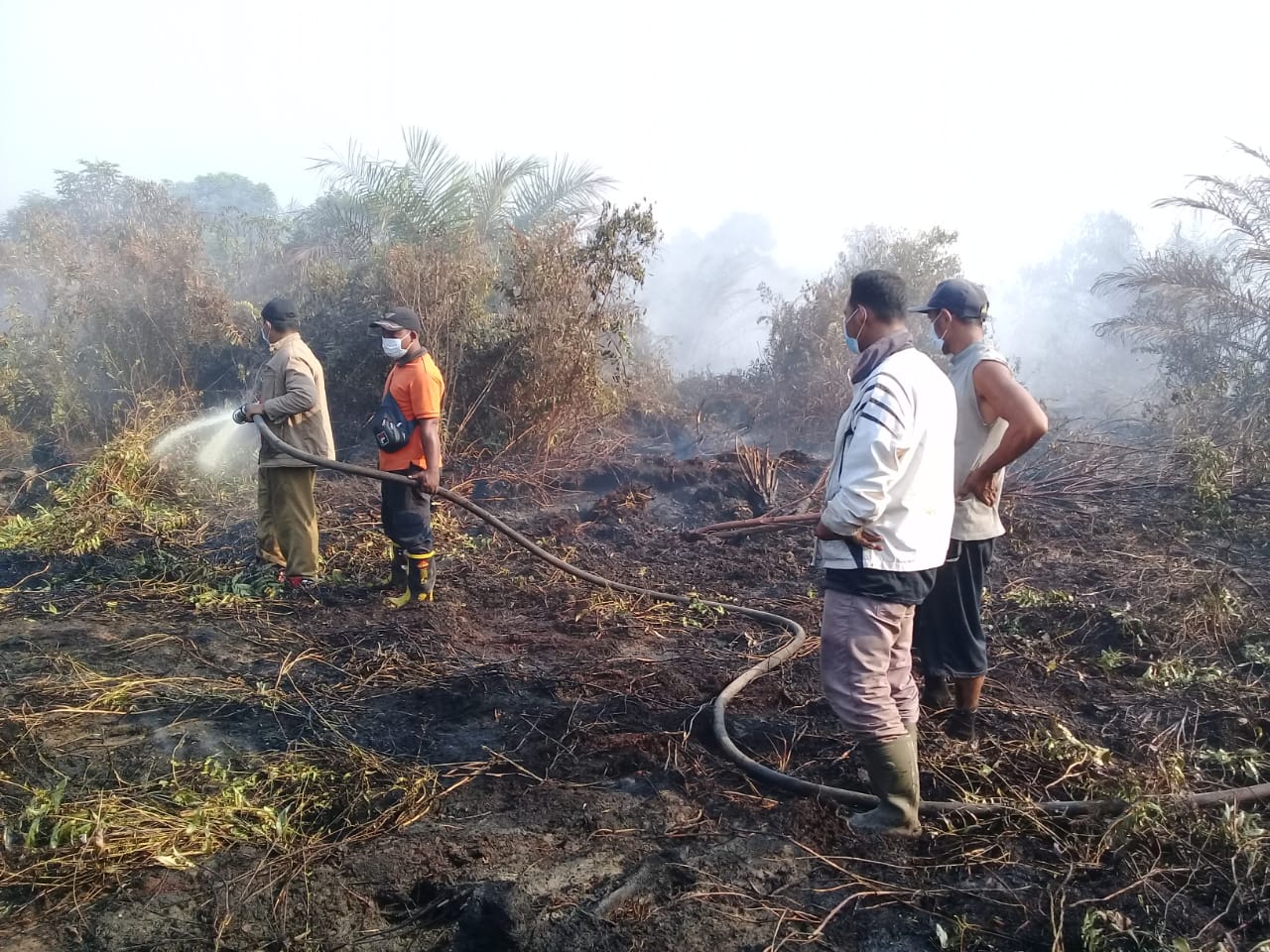 Paling Luas Bengkalis, Lahan Terbakar di Riau Capai 2.830 Hektar