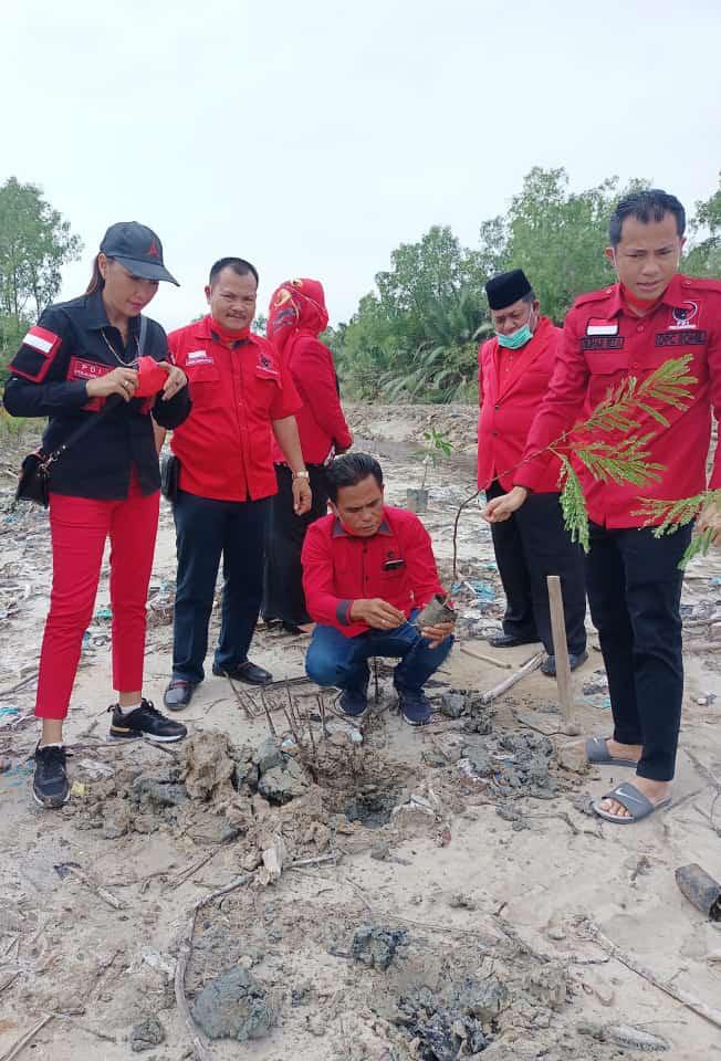 Peringati HUT ke-48, DPC PDI-P Rohil Tanam Seribu Pohon
