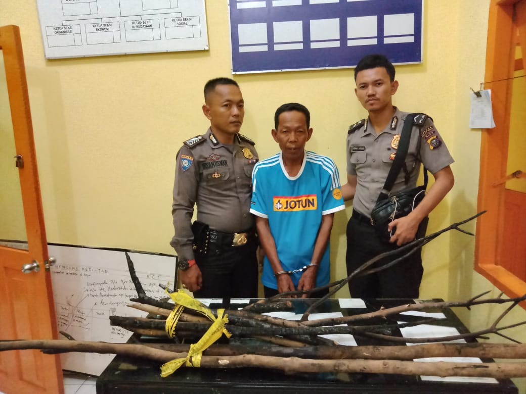 Petani Rohil Tanam Serai Bakar Lahan 20x20 Meter Ditangkap Polisi