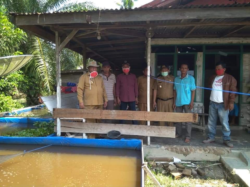 Dikunjungi Wabup Rohil, Kelompok Pembudidaya Ikan Kaget Campur Senang