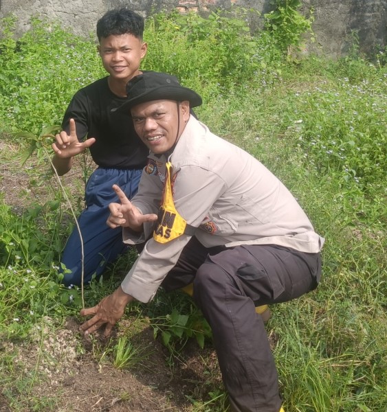 Tanam Pohon Trembesi di Sungai Bakau, Polsek Sinaboi Gencarkan Green Policing