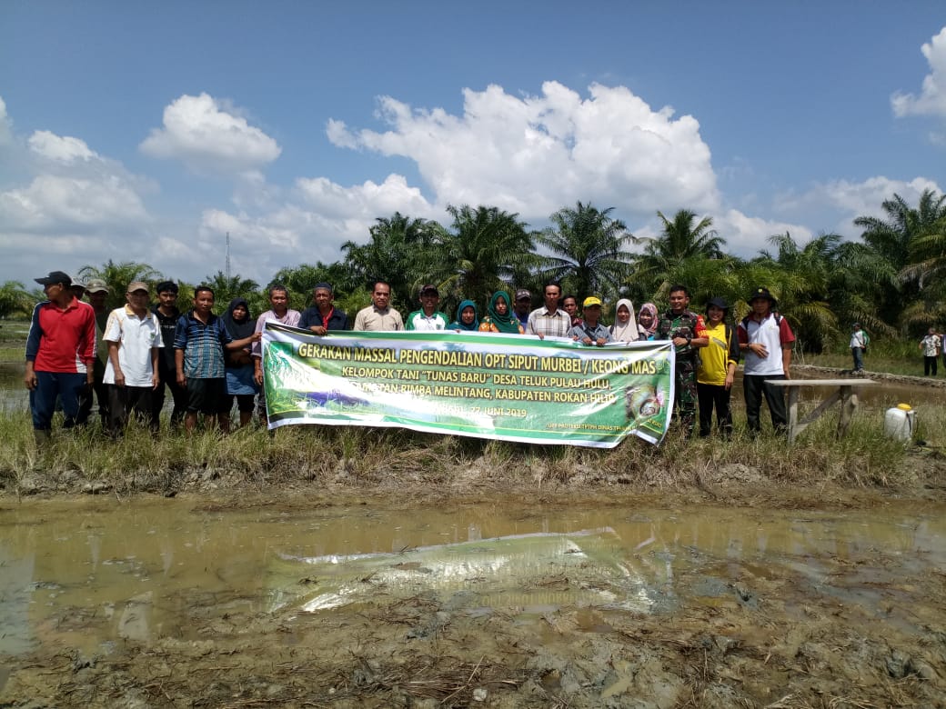 Bersama Kelompok Tani, Babinsa Koramil 05/RM Hadiri Rapat  Pembasmian Hama Padi
