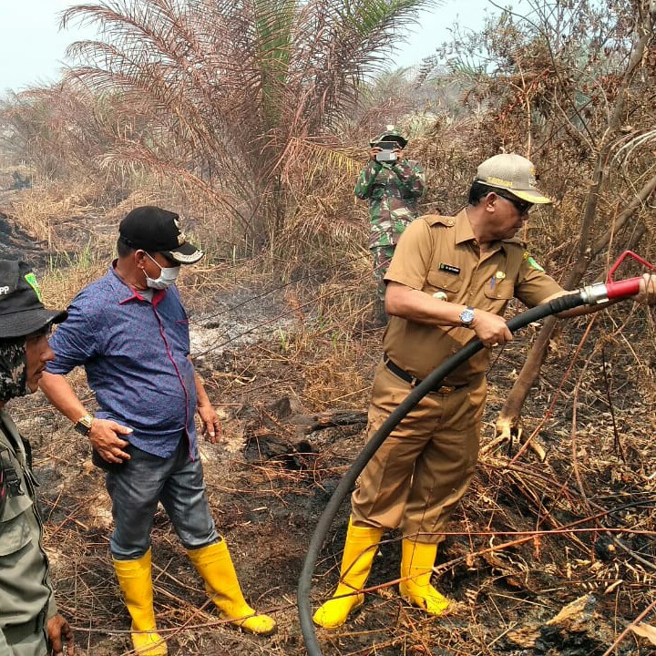 Hore... Rohil Diguyur Hujan, Bupati Suyatno Harap Polusi Berkurang