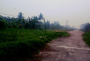 Miris...Tiang Listrik PLN di Bagansiapiapi Dari Ranting Kayu
