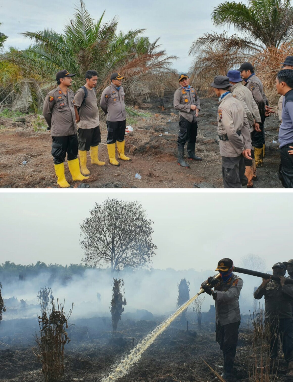 Kapolres Rohil Bersama Tim Kewalahan Saat Padamkan Api Dilokasi Kebakaran