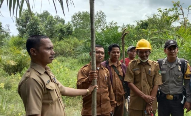 Camat Pekaitan Tinjau Tapal Batas Kepenghuluan Pedamaran Dengan Suak Temenggung