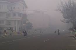Dishut Sebut Jambi dan Palembang Pengirim Kabut Asap Ke Bagansiapiapi
