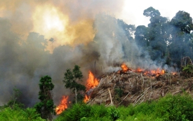 Bapedal Rohil Giat Pencegahan Karlahut Berbasis GPS