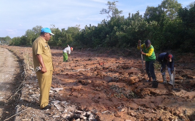 Pemkab Rohil Akan Buka Kawasan Hutan Kota Dan Kebon Binatang Mini