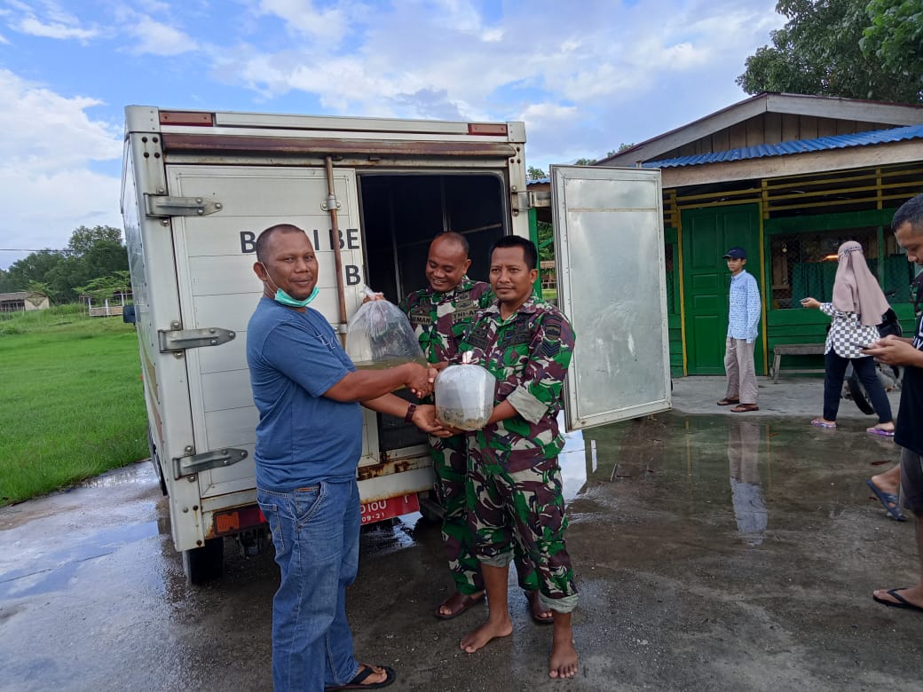 Kodim 0321/Rohil Terima Bantuan Benih Ikan Nila Dari BBI Rantau Kopar