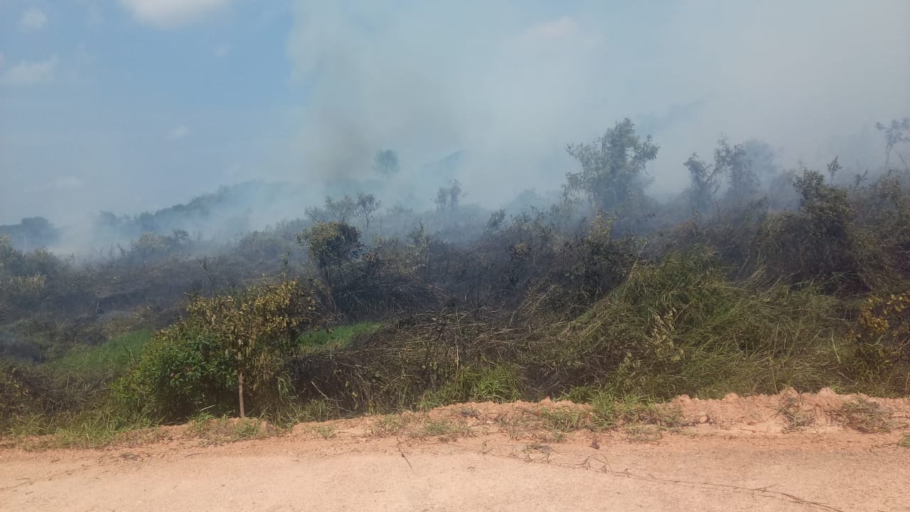 Warga Khawatir Kebakaran Lahan di Kampong Kemalai Jalan Batoh Menjalar Kepemukiman