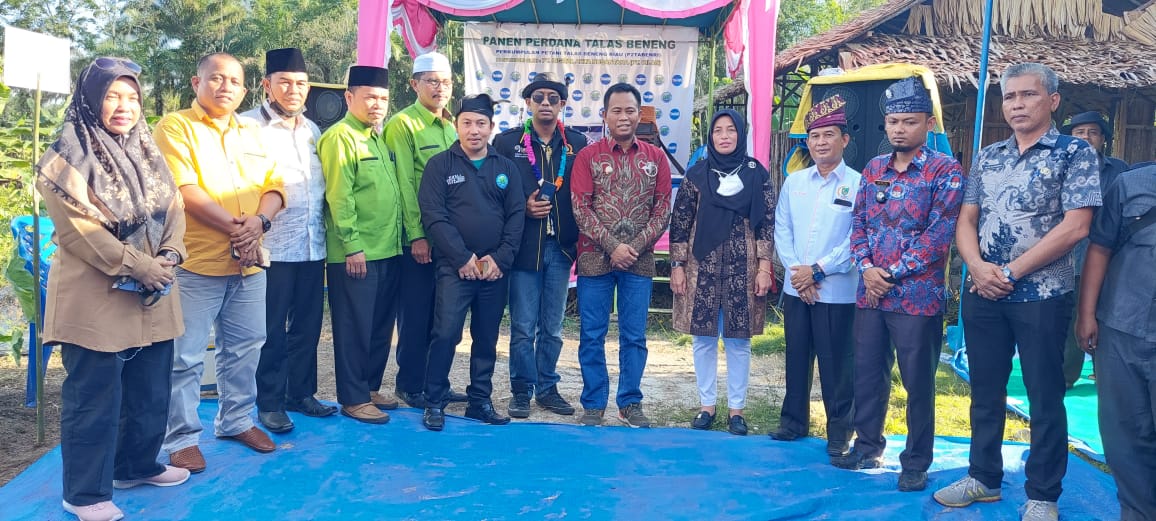 Wabup Rohil Sulaiman Hadiri Panen Perdana Talas Beneng P2TABENRI