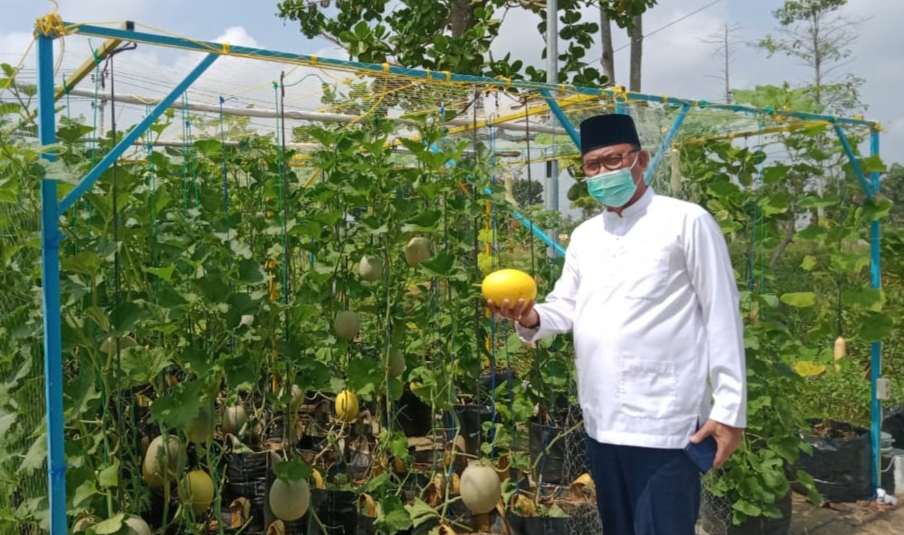 Stay at Home: Manfaatkan Hari Untuk Bercocok Tanam