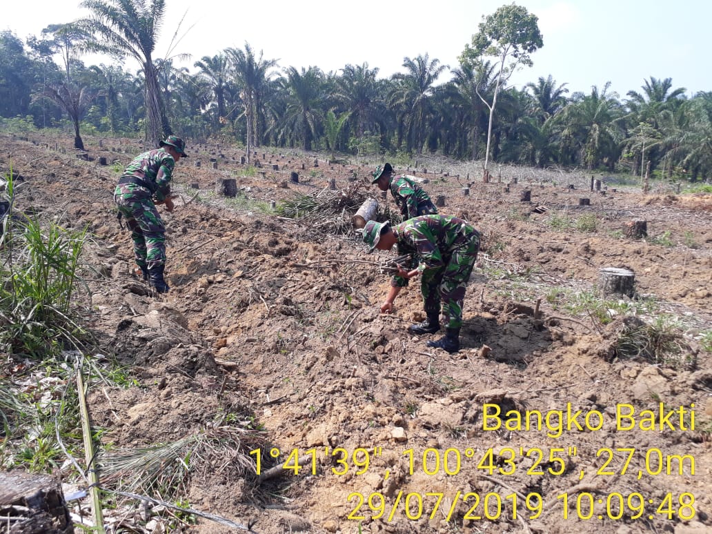 Koramil 05/RM Berikan Contoh Cara Menanam Ubi Kayu Kepada Masyarakat