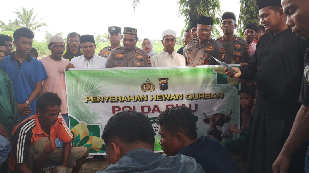 Kapolda Riau Sumbang Sapi Bali, Waka Polres Rohil Hadiri Langsung Pemotongan Qurban di Bagan Cempeda