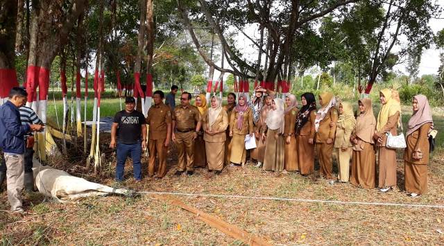 Dinas Kesehatan Rohil Qurban Seekor Lembu