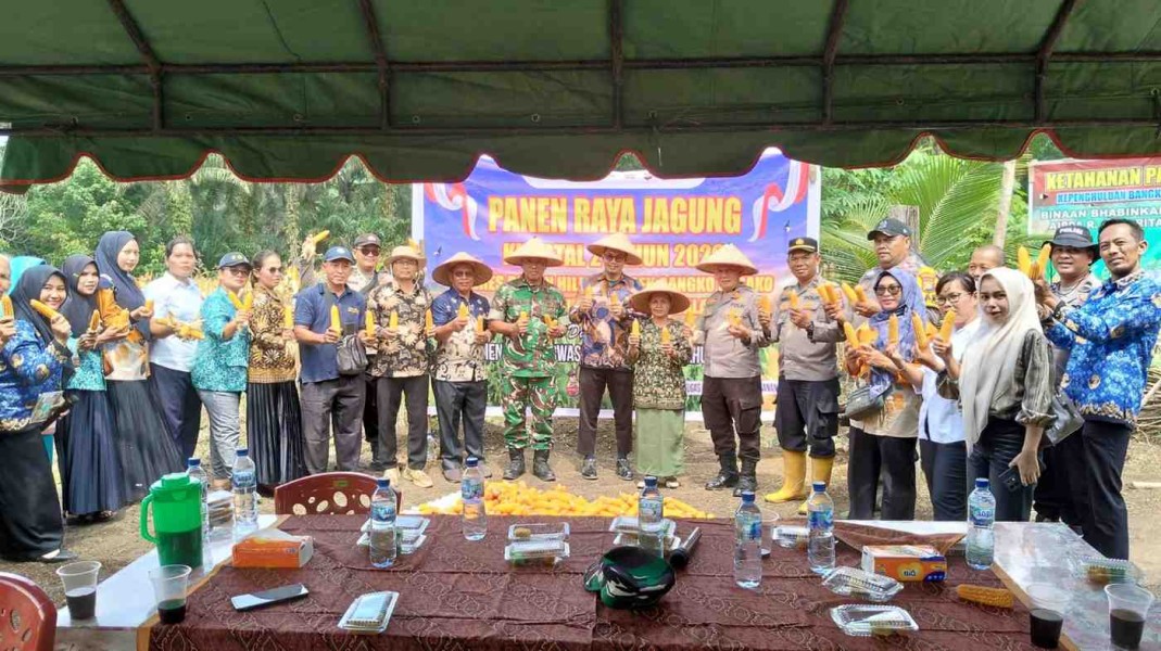 Wujudkan Swasembada Pangan, TNI-Polri dan BUMDes Rohil Sukseskan Panen Raya Jagung