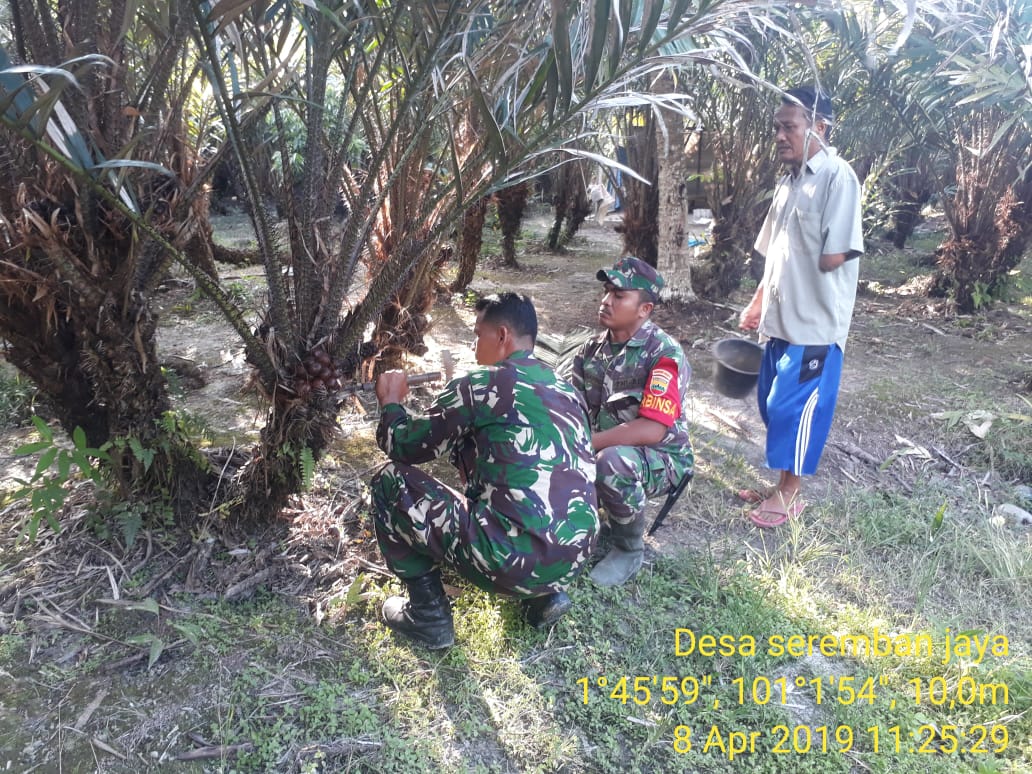 Lakukan Pembinaan, Babinsa Koramil 05 Rimba Melintang Sambangi Petani Salak