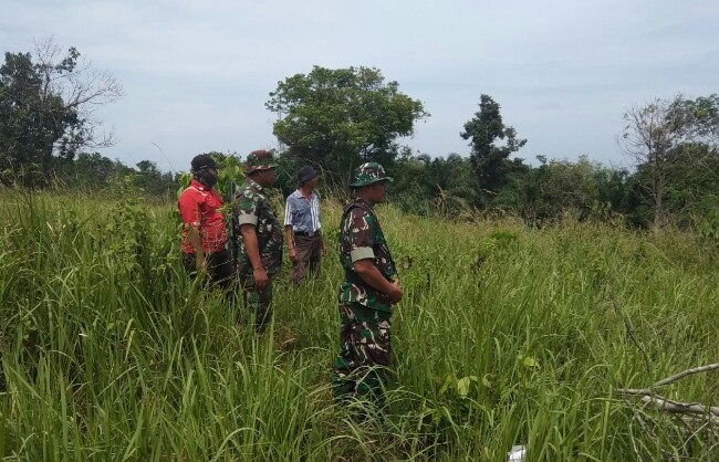 Cegah Karlahut, Koramil 05 Rimba Melintang Lakukan Patroli Cegah Karlahut, Koramil 05 Rimba Melintang Lakukan Patroli