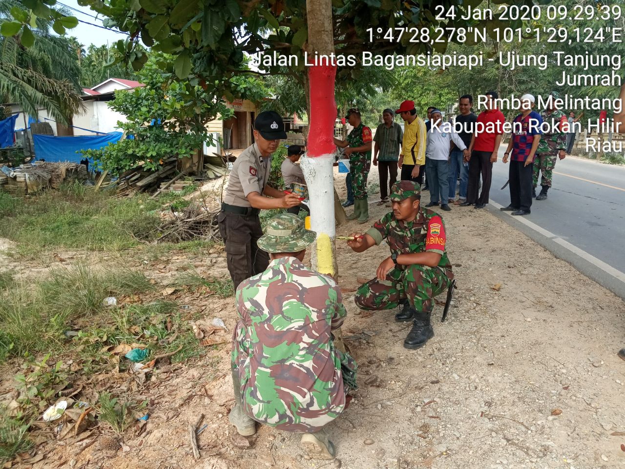 Jaga Keindahan Lingkungan, TNI, Polri dan Pemda Laksanakan Pengecatan Pohon