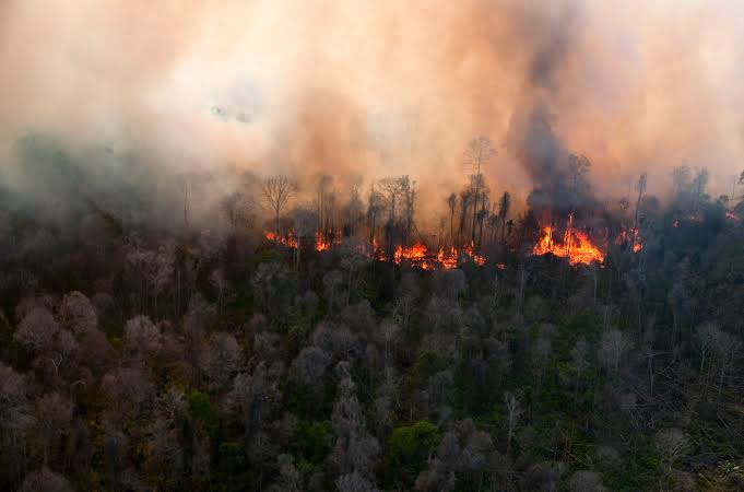 Luas Lahan Terbakar di Riau Melonjak