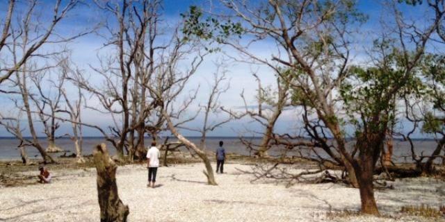 “Pantai Biski” Warna Baru Wisata Rohil