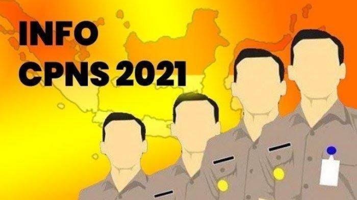 Penerimaan Cpns Dan Pppk Ini Formasi Untuk Kabupaten Rokan Hilir